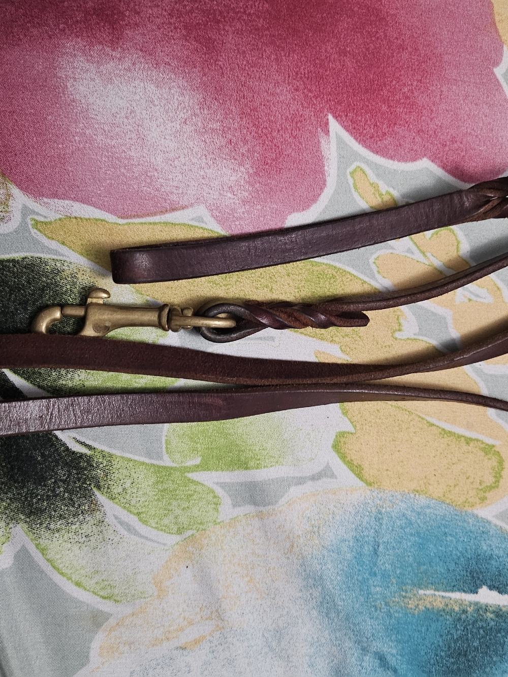 Brown Leather Dog Leash with Brass Snap